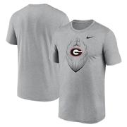 Georgia Nike Legend Football Icon Tee